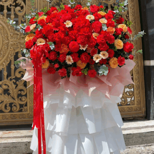 Phượng Hoàng Đỏ